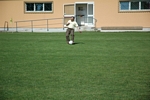 DSC_0597.JPG